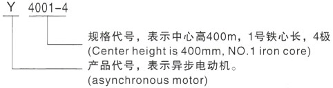 西安泰富西玛Y系列(H355-1000)高压YE2-280S-6三相异步电机型号说明