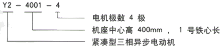 YR系列(H355-1000)高压YE2-280S-6三相异步电机西安西玛电机型号说明